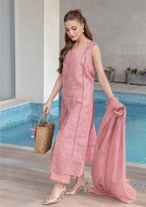 Rang Rasiya Festive Unstitched - MILA