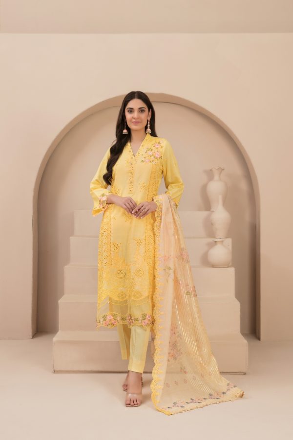 Aiyla Embroidered Digital Printed D-9445