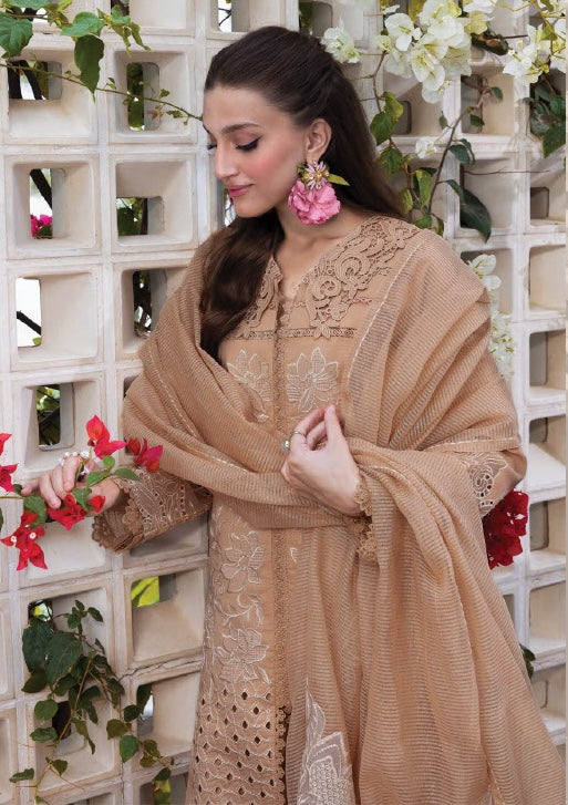 Rang Rasiya Festive Unstitched - KAIA