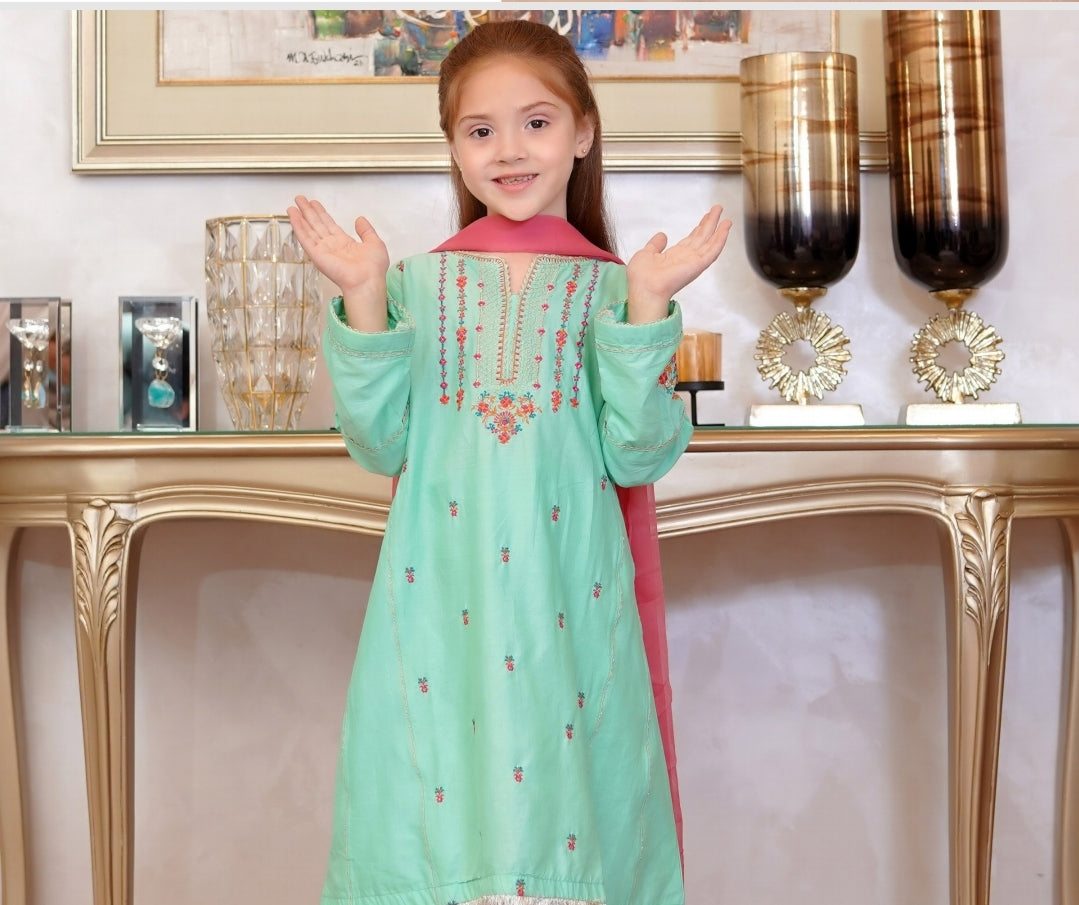 Raunaq by Shanzey Kids Pret Collection'2023-SHK-1407